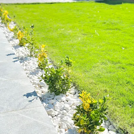 Dalca 别墅 费特希耶